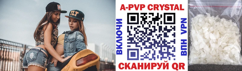 A PVP СК  Кингисепп 