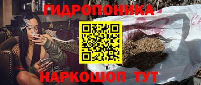 гашик Бузулук