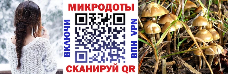Псилоцибиновые грибы GOLDEN TEACHER  Кингисепп 
