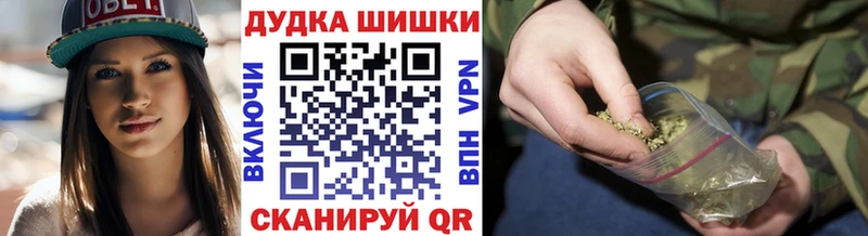 Конопля план  Кингисепп 
