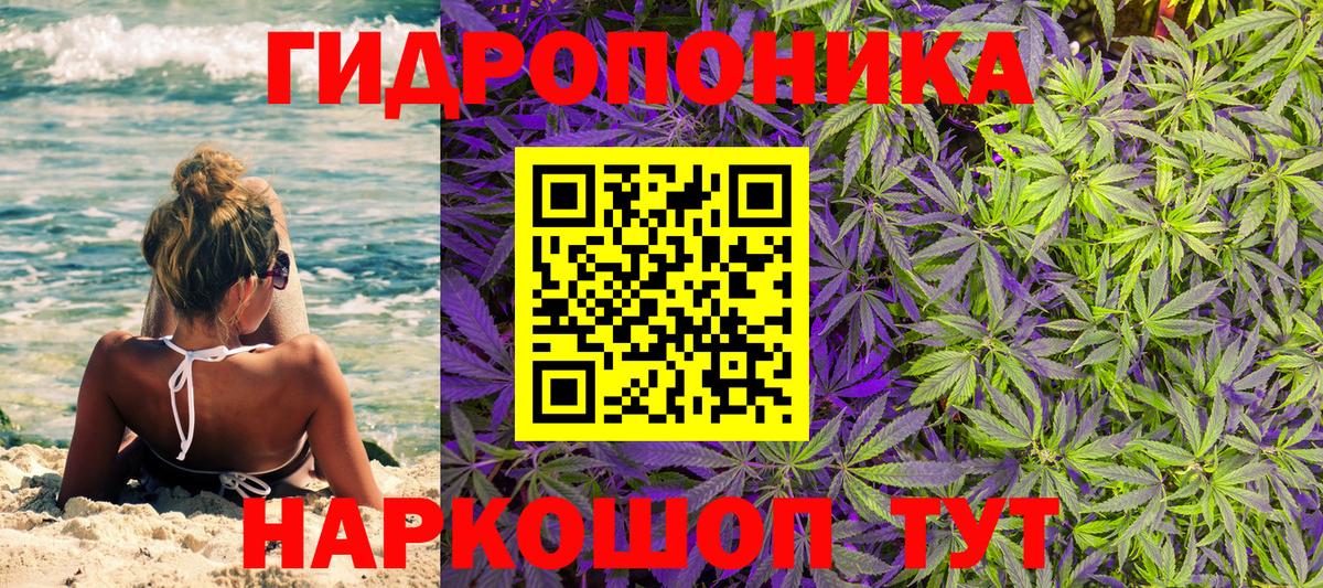 Бошки марихуана VHQ  Вход с VPN  Кингисепп  Марихуана OG Kush  Бошки Шишки Ganja 